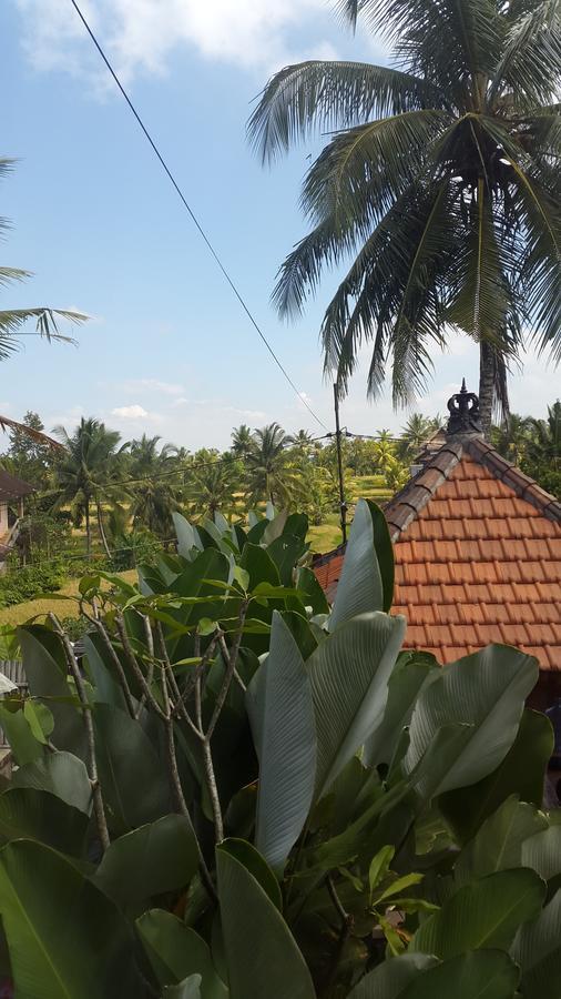 Villa Bungsil Gading Убуд Екстер'єр фото